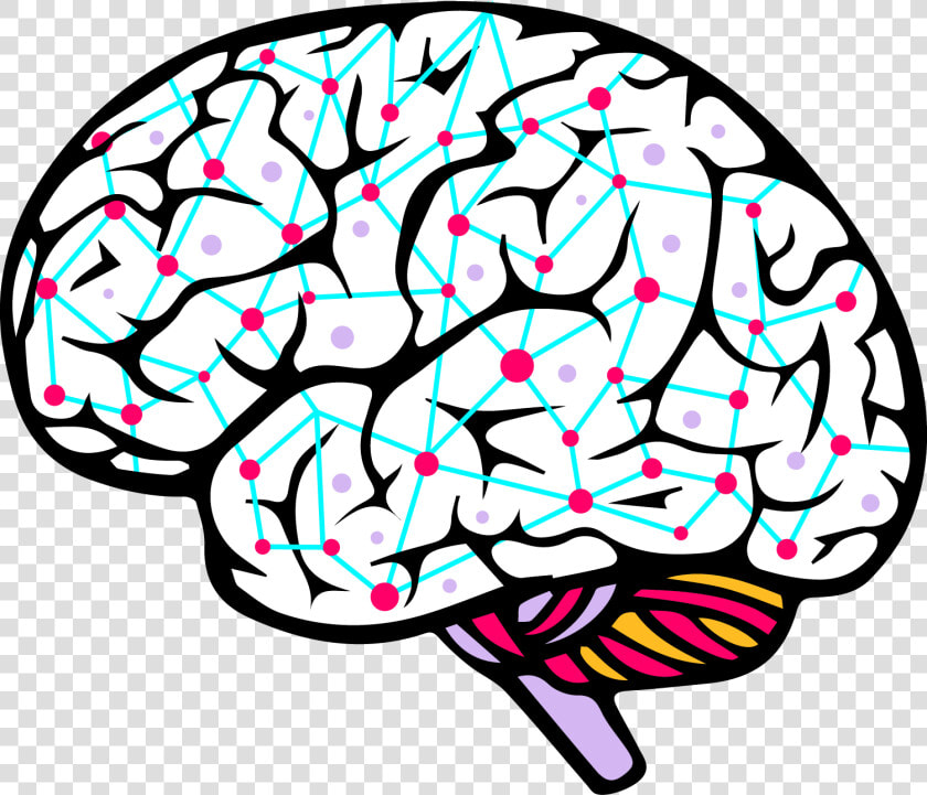 Brain Side View Vector Clipart   Png Download   Brain Side View Vector  Transparent PngTransparent PNG