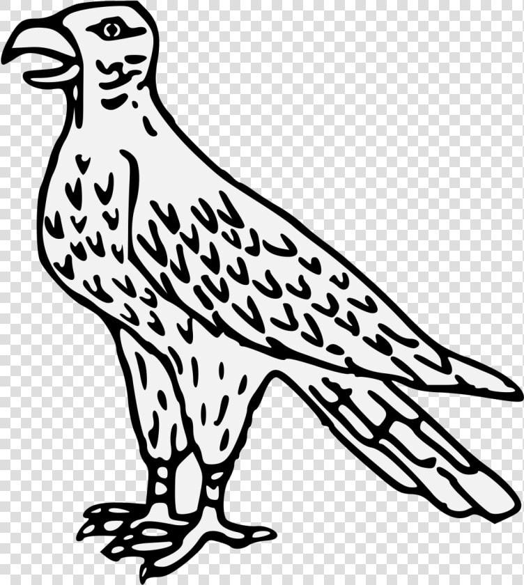 Buzzard  HD Png DownloadTransparent PNG