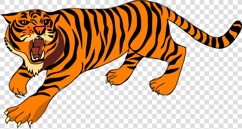 Carnivoran lion big Cats   Tiger Clipart  HD Png DownloadTransparent PNG