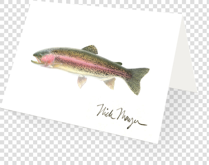 Rainbow Trout   Trout  HD Png DownloadTransparent PNG