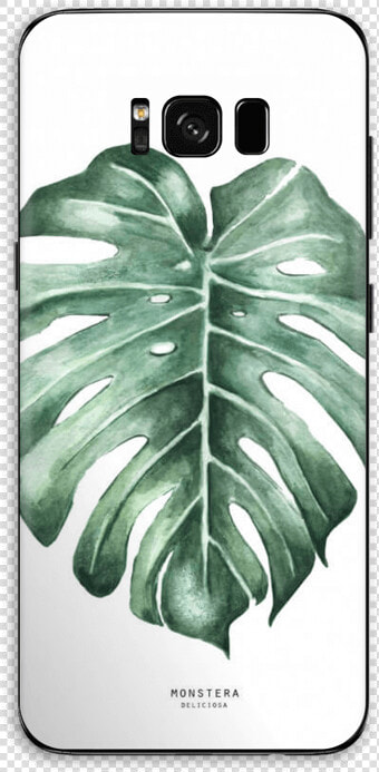 Monstera Deliciosa Skin Galaxy S8 Plus   Kunstdruck Pflanzen  HD Png DownloadTransparent PNG