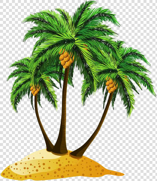 Download Beach Png Pic   Beach Tree Png  Transparent PngTransparent PNG