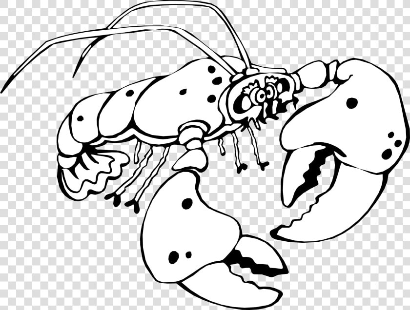 Crayfish Clipart Black And White  HD Png DownloadTransparent PNG