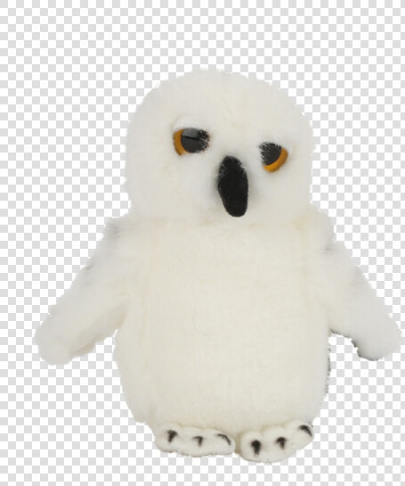 Hedwig Plush  HD Png DownloadTransparent PNG