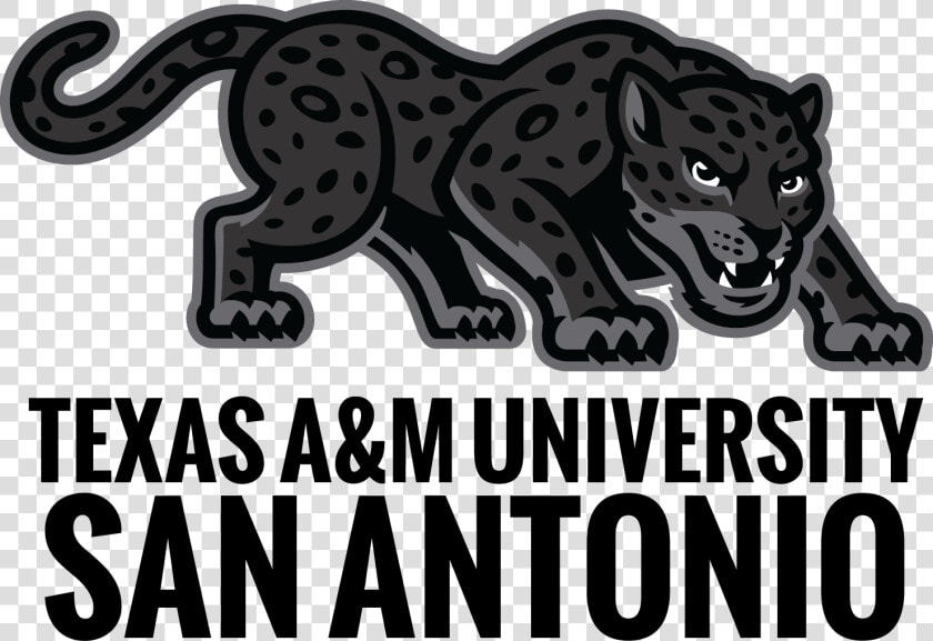 Transparent Jaguar Mascot Clipart   Texas A amp m San Antonio Jaguars  HD Png DownloadTransparent PNG