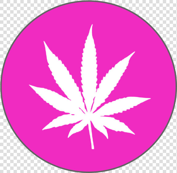 The Deadline For Applications Is June 30  2018 For   Green Black Background Weed Leaf  HD Png DownloadTransparent PNG