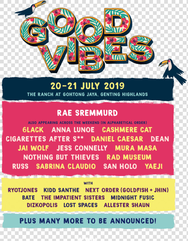 Good Vibes Festival 2019 Lineup  HD Png DownloadTransparent PNG