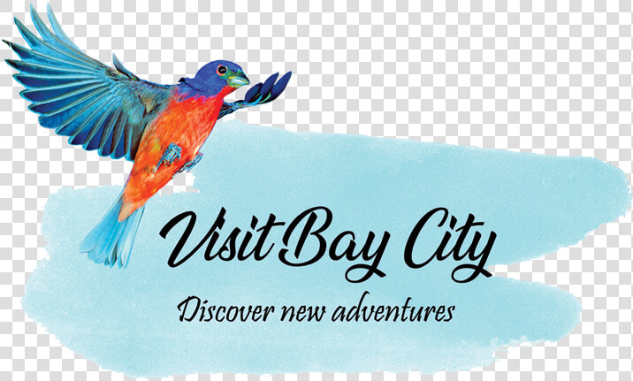 Bay City Tourism Council   Coraciiformes  HD Png DownloadTransparent PNG