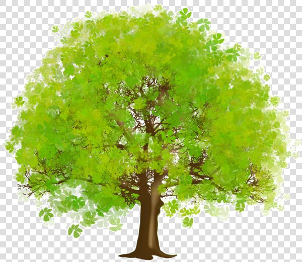 3d Tree Clipart Image Free 19new Tree Clipart   Tree Clipart Png  Transparent PngTransparent PNG