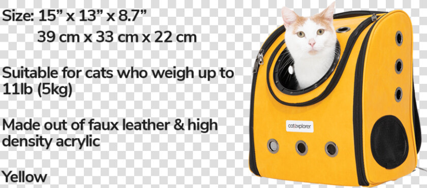 Removable Mat Easy Cleaning Cat Backpack Pioneer Explorer   Squitten  HD Png DownloadTransparent PNG