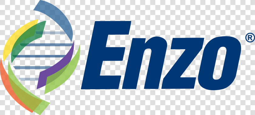 Enzo Logo   Enzo Biochem Logo  HD Png DownloadTransparent PNG