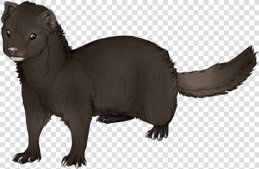 Mink Ferret Drawing Clip Art   Mink Png  Transparent PngTransparent PNG