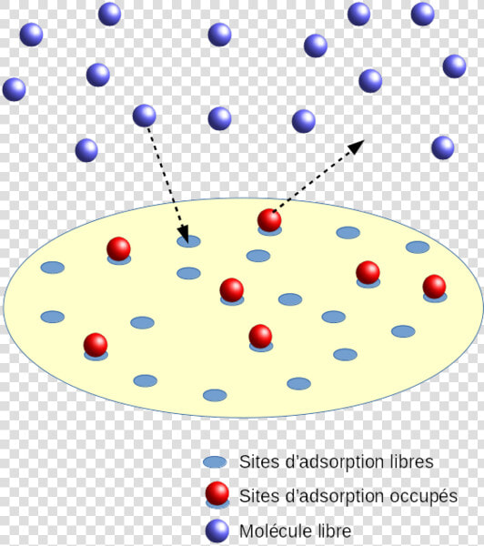 Principe Isotherme Langmuir   Adsorption Principe  HD Png DownloadTransparent PNG