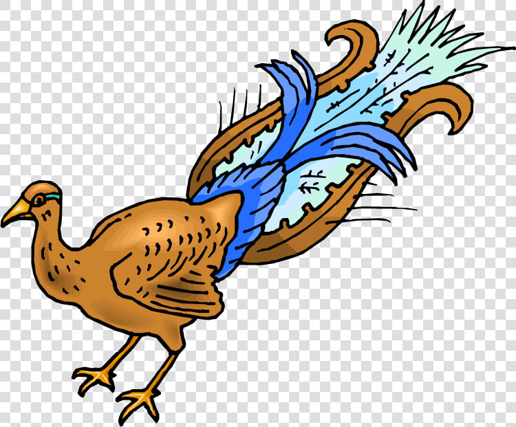 Peafowl  HD Png DownloadTransparent PNG