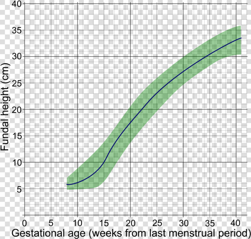 Symphysio Fundal Height Chart  HD Png DownloadTransparent PNG