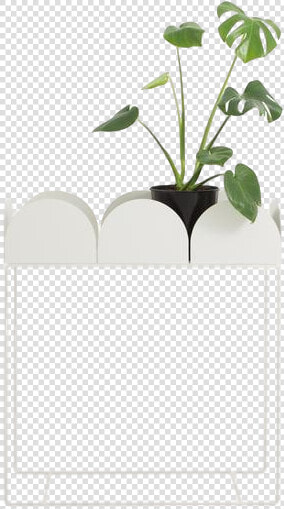 Flowerpot  HD Png DownloadTransparent PNG