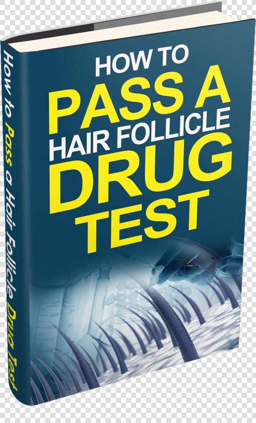 Learn How To Pass A Hair Follicle Drug Test  HD Png DownloadTransparent PNG