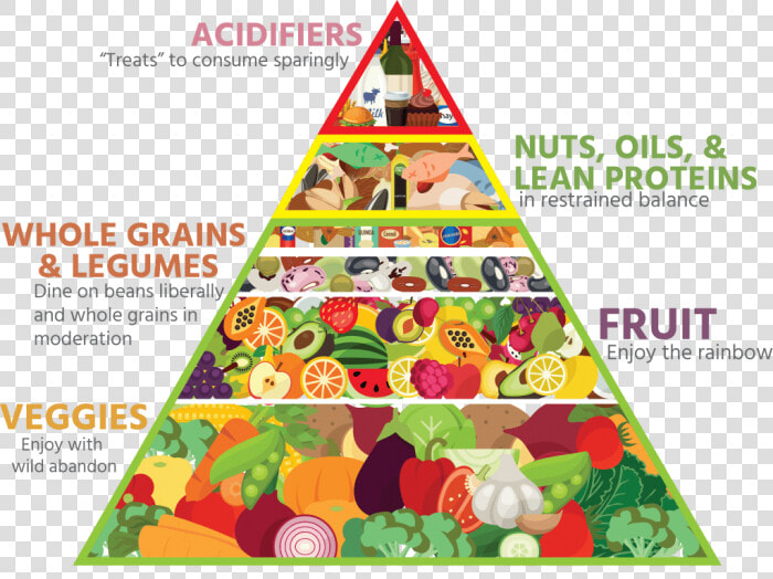 Food Pyramid Transparent   Food Pyramid Image Transparent  HD Png DownloadTransparent PNG