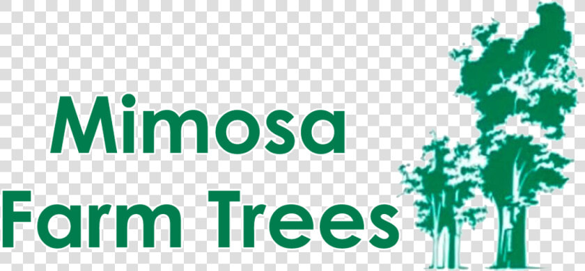 Mimosa Farm Trees   Kingdom Of Fools Story  HD Png DownloadTransparent PNG