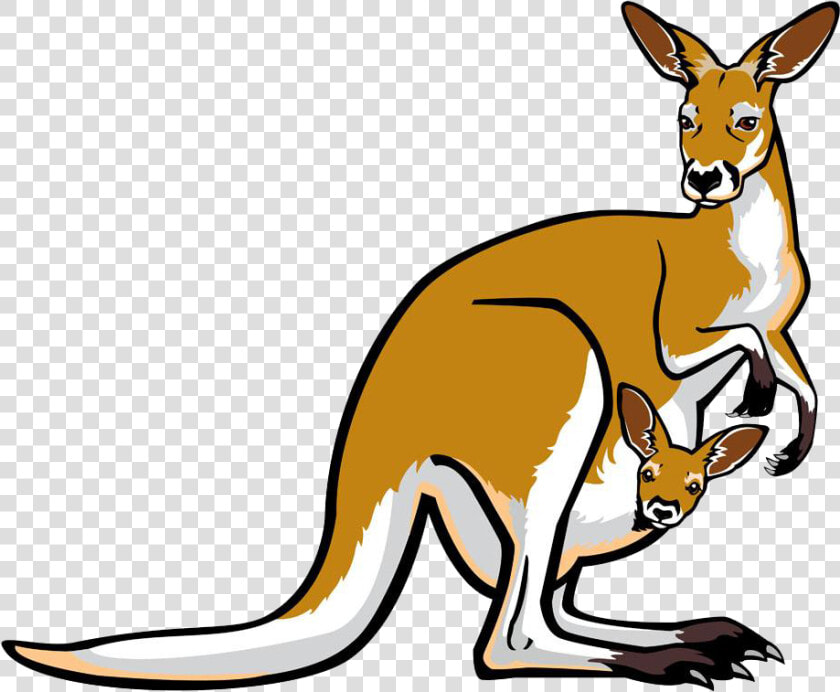 Red Kangaroo Pouch Illustration   Transparent Background Kangaroo Cartoon  HD Png DownloadTransparent PNG