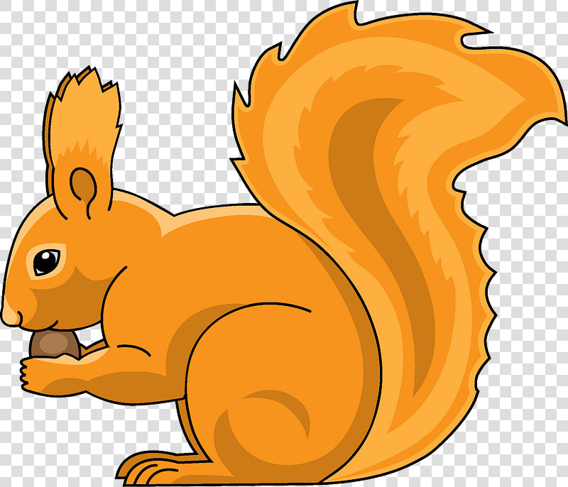 Eurasian Red Squirrel  HD Png DownloadTransparent PNG