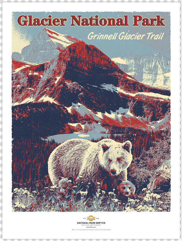 Glacier National Park Prints   Kodiak Bear  HD Png DownloadTransparent PNG