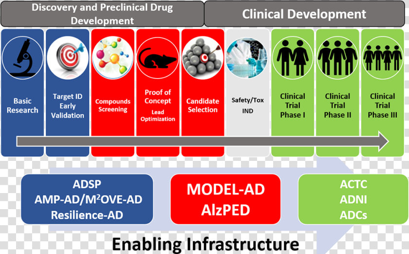 Enabling Infrastructure   Preclinical And Clinical Trials  HD Png DownloadTransparent PNG