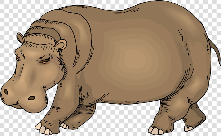 Transparent Hippopotamus Clipart   Hippo Clipart  HD Png DownloadTransparent PNG