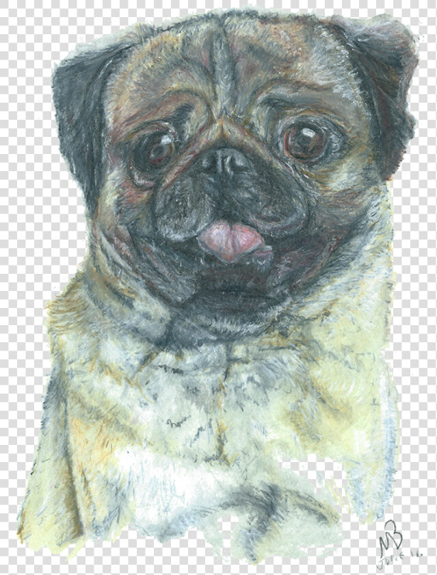 Pug Dog Pencil Dogs   Pug Png Artworks  Transparent PngTransparent PNG