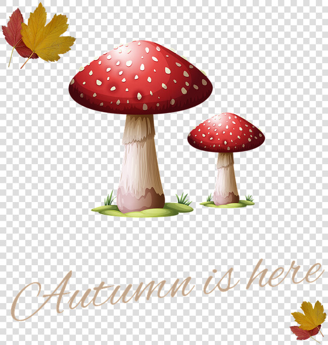 Dad Thanks For Being A Fungi  HD Png DownloadTransparent PNG