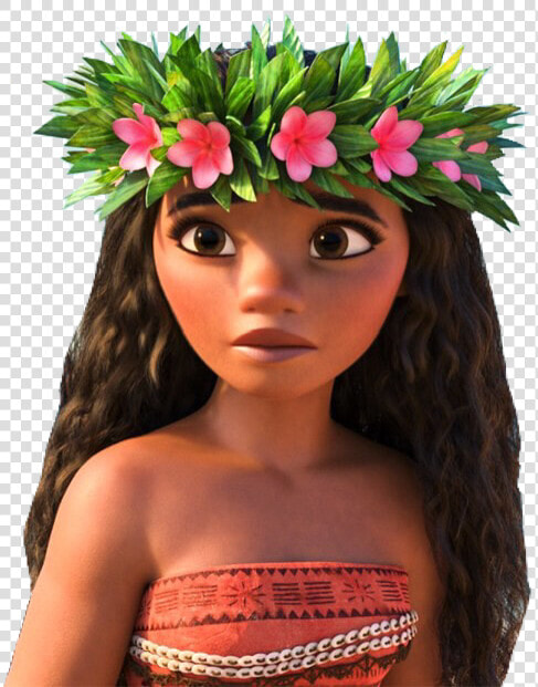  moana  disney  flowercrown  ponlynesian  hawaiian   Diy Diy Moana Costume  HD Png DownloadTransparent PNG