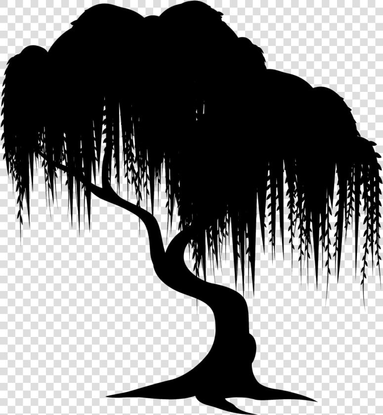   tree  shadow  conture  plant  remix   Weeping Willow Tree Clipart  HD Png DownloadTransparent PNG