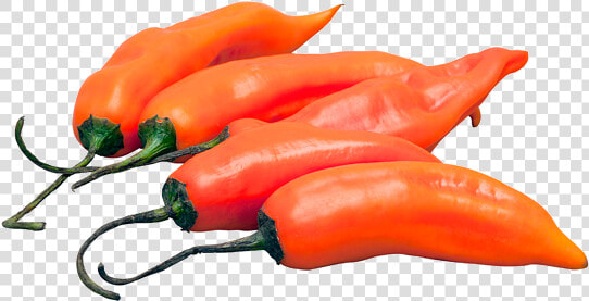 Aji Amarillo Peruvian Yellow Hot Pepper   Tabasco Pepper  HD Png DownloadTransparent PNG