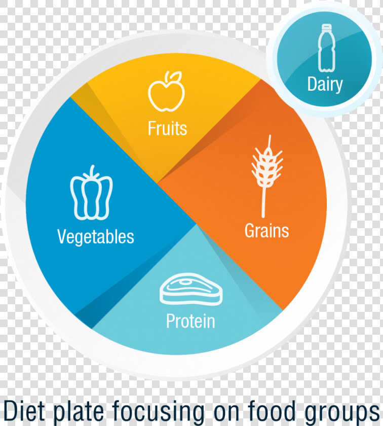 Here Are Some Diet Tips For Weight Loss   Circle  HD Png DownloadTransparent PNG