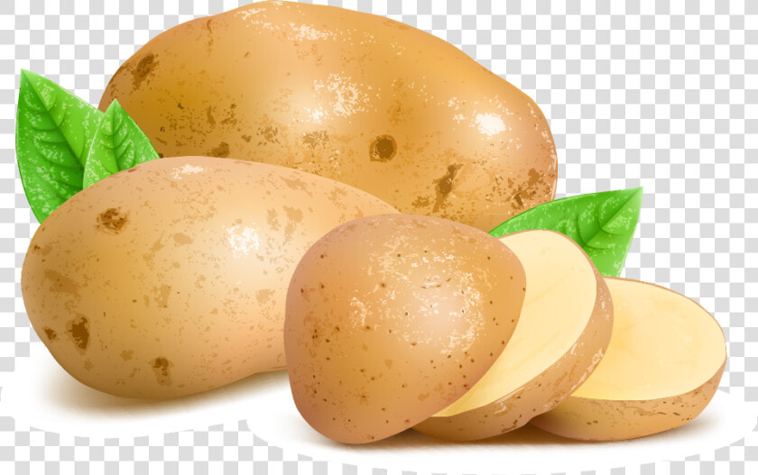 Potato Png Hq Image   Potato Png  Transparent PngTransparent PNG