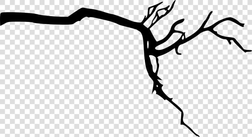 Tree Branch Silhouette Png Download   Branch Of Tree Transparent Background  Png DownloadTransparent PNG