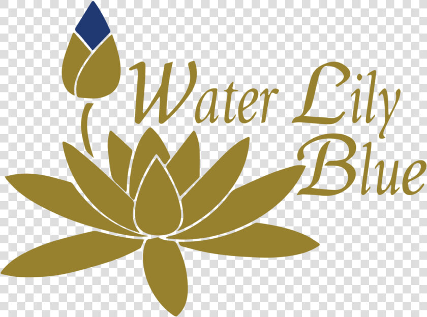 Water Lily Blue   Water Lily Logo Png  Transparent PngTransparent PNG