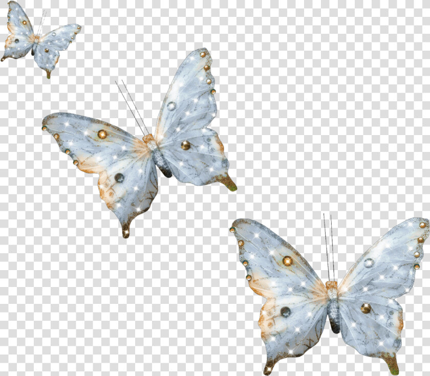  blue  flower  butterfly  floral  soft  cute  aesthetic   Mariposa Jpeg  HD Png DownloadTransparent PNG