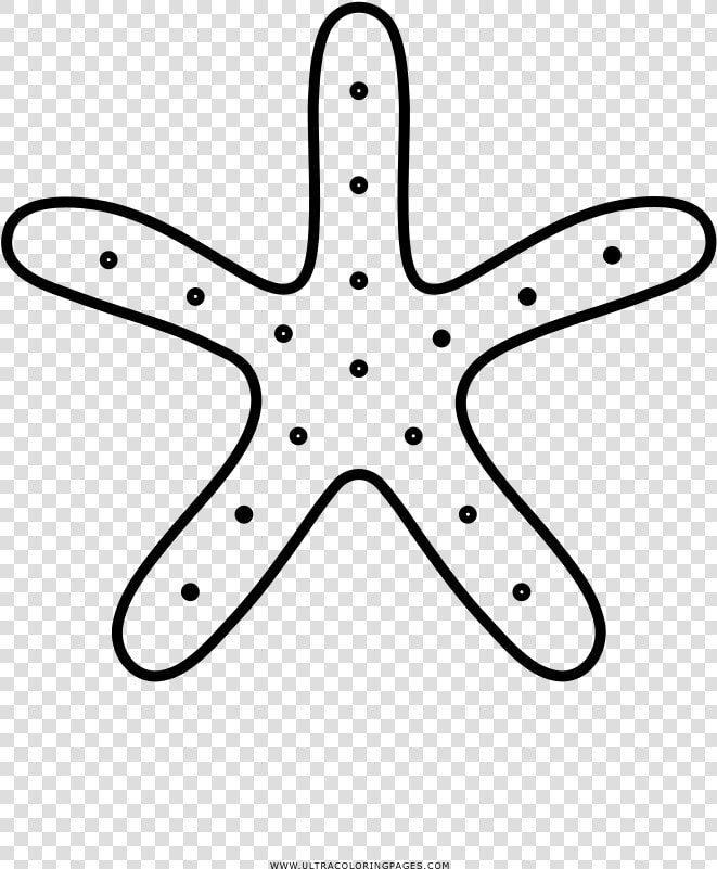 Estrella De Mar Página Para Colorear   Drawing  HD Png DownloadTransparent PNG