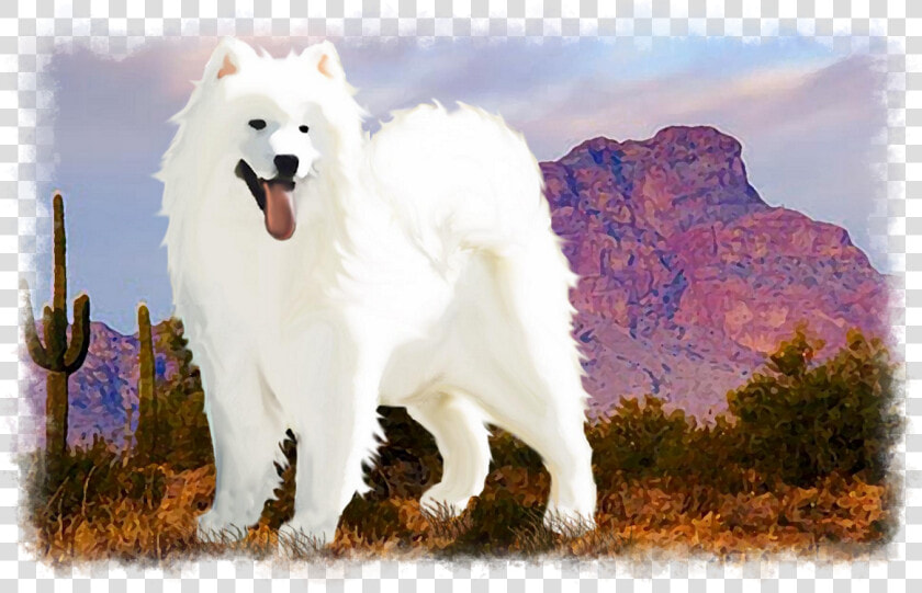 Canadian Eskimo Dog  HD Png DownloadTransparent PNG