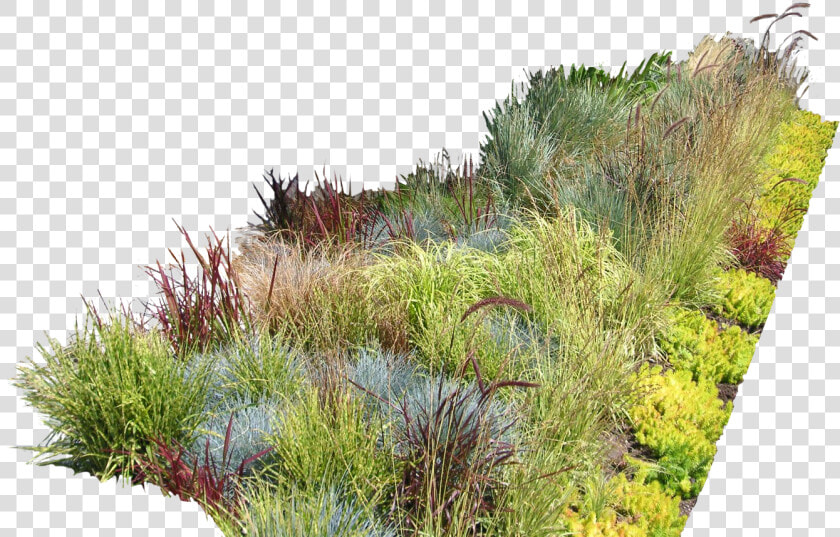 Garden Ideas Garden Design Landscaping Landscape Design   Vegetation Png  Transparent PngTransparent PNG