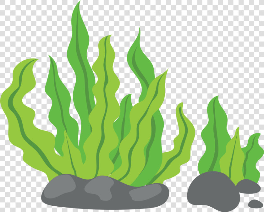 Transparent Weed Joint Png   Seaweed Png Cartoon  Png DownloadTransparent PNG