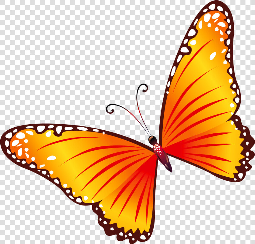 Butterfly Cliparts Png Vector   Butterfly Clip Art Png  Transparent PngTransparent PNG