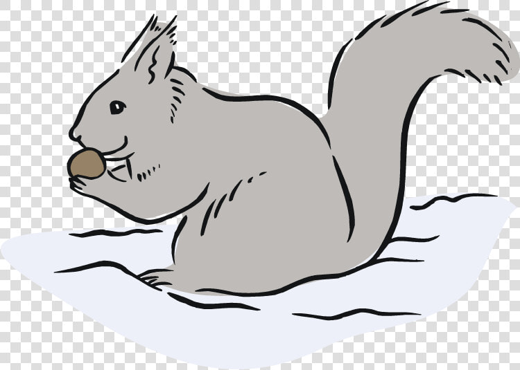 Squirrel Black And White Free Squirrel Clipart   Gray Squirrel Clipart  HD Png DownloadTransparent PNG