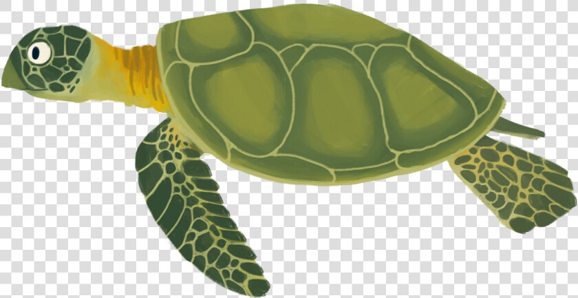 Background Category   Sea Turtle Cartoon Png  Transparent PngTransparent PNG