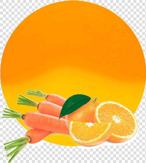 Clementine  HD Png DownloadTransparent PNG