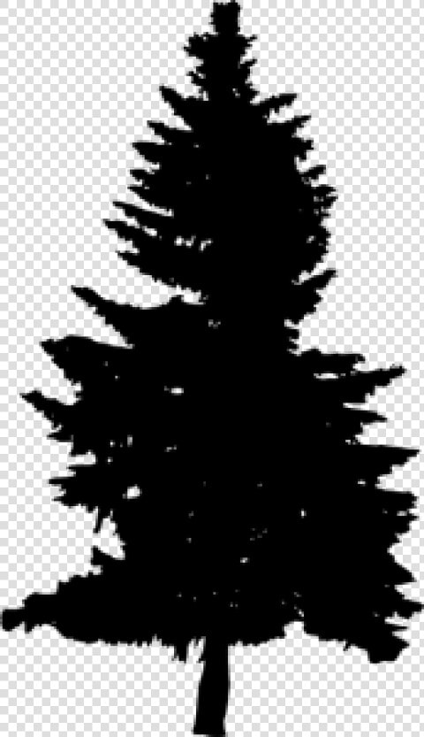 Free Png Pine Tree Silhouette Png Images Transparent   Pine Tree Silhouette Black  Png DownloadTransparent PNG