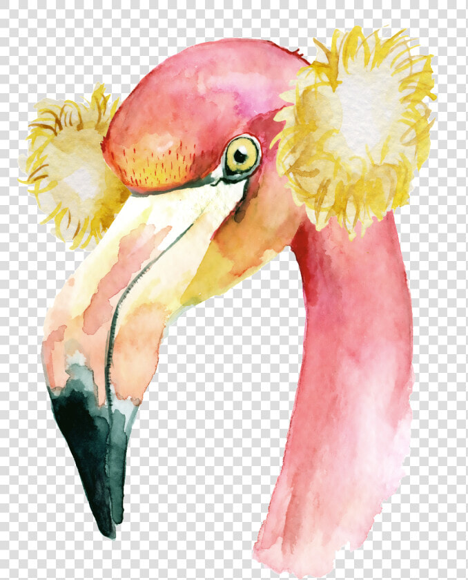 19258picuex 1024 X Oss Process Image quality q 70 watermark   Flamingo In A Santa Hat  HD Png DownloadTransparent PNG