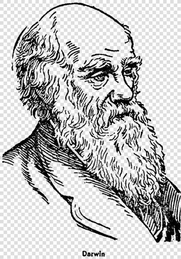 Charles Lyell And Charles Darwin Macroevolutionnet   Charles Darwin Para Dibujar  HD Png DownloadTransparent PNG