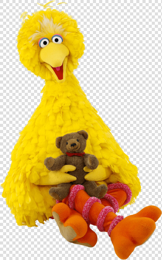 Sesame Street Big Bird With Teddybear  HD Png DownloadTransparent PNG